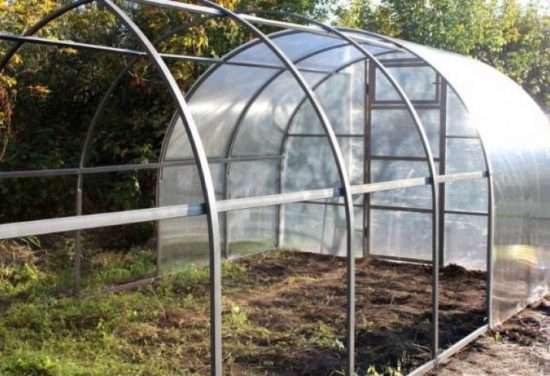 минские теплицы